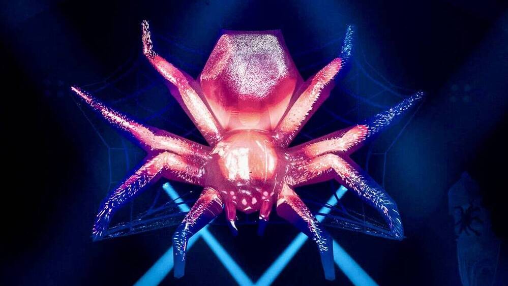 Rimbu's inflata spider